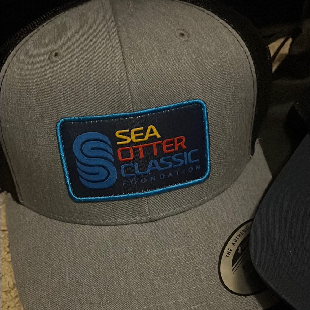 Gray and Blue Snapback Hat with Patch